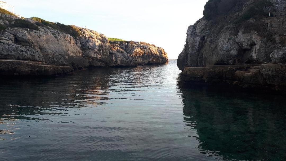 Apartamentos Ses Orenetes Cala'N Blanes  Esterno foto